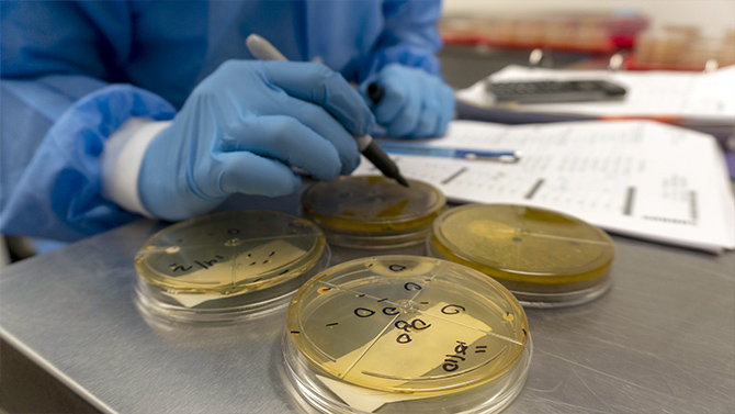 Advanced Laboratories - Pathogen Identification