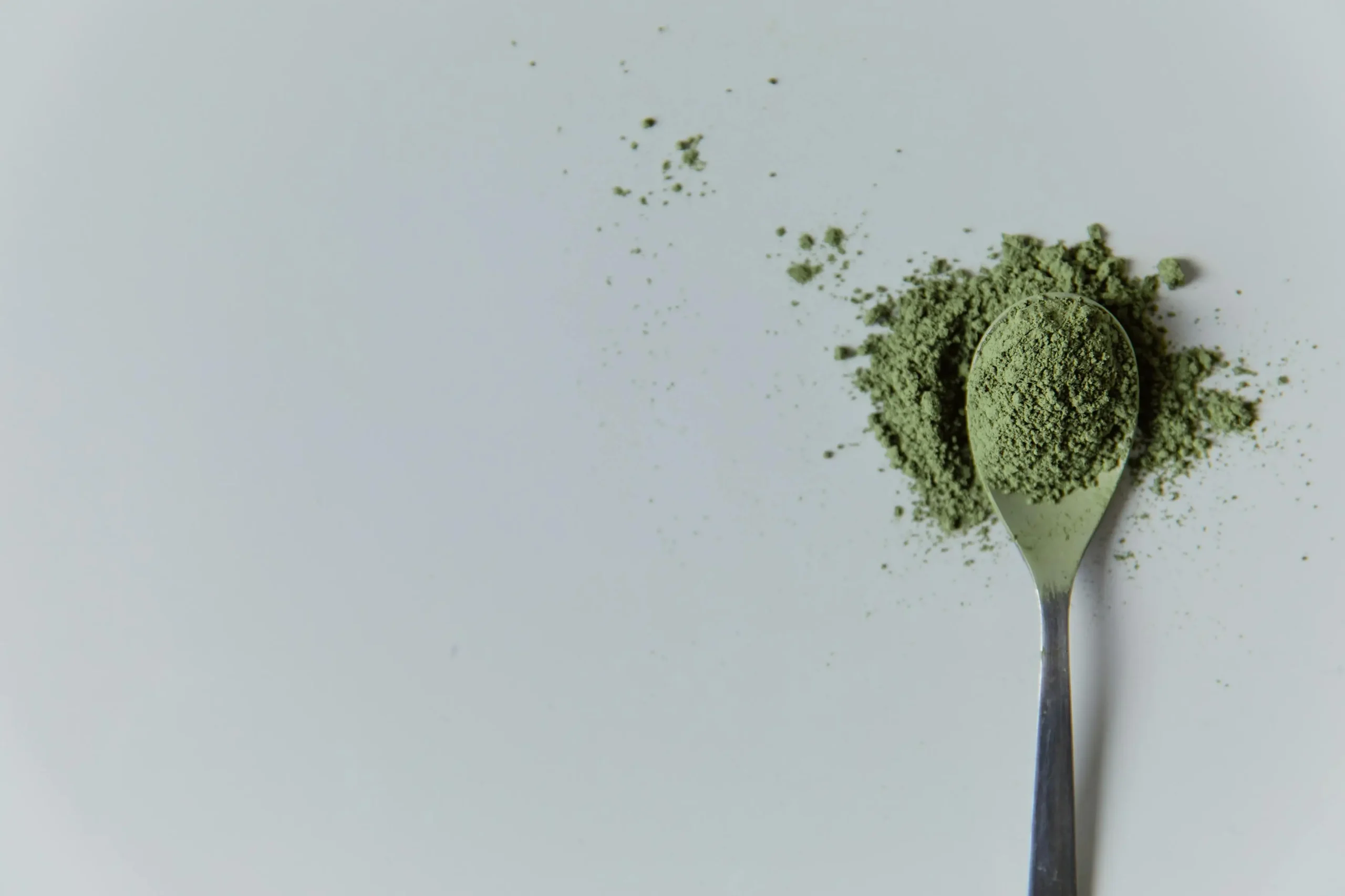 A scoop of green supplement powder for microbial contamination testing in a third-party lab