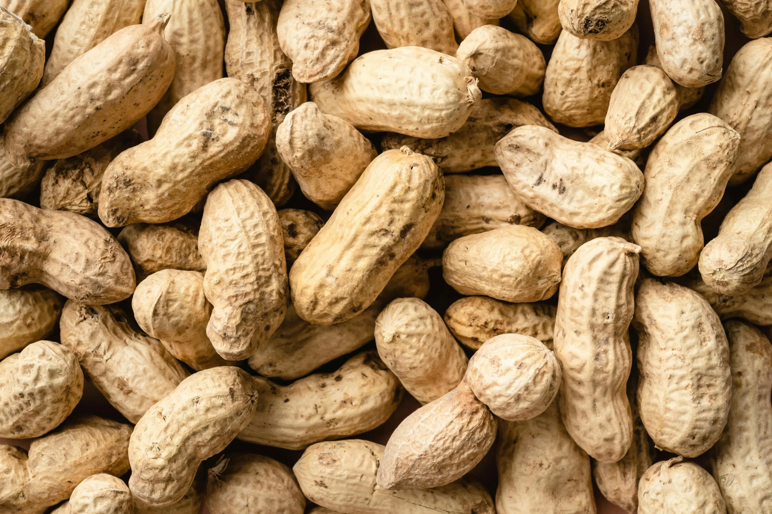 A close up of shelled peanuts, a common allergen detected by third party allergen testing