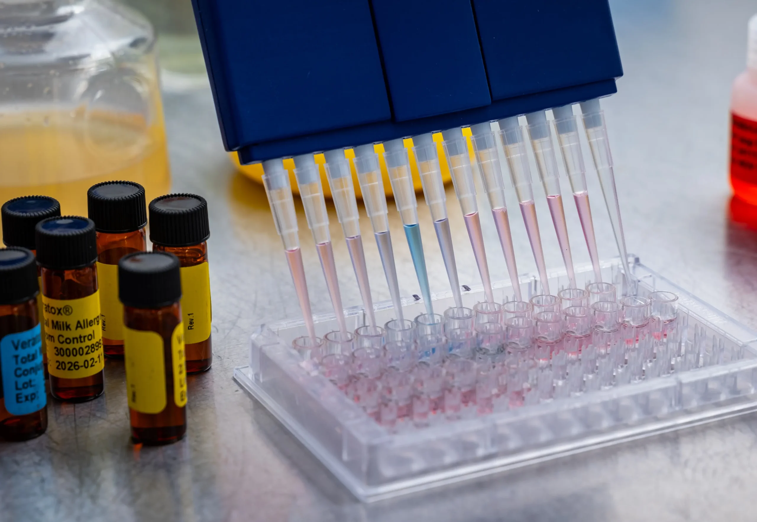 Laboratory pipette system transferring liquid samples into a multi-well plate beside labeled laboratory sample bottles of known allergens.