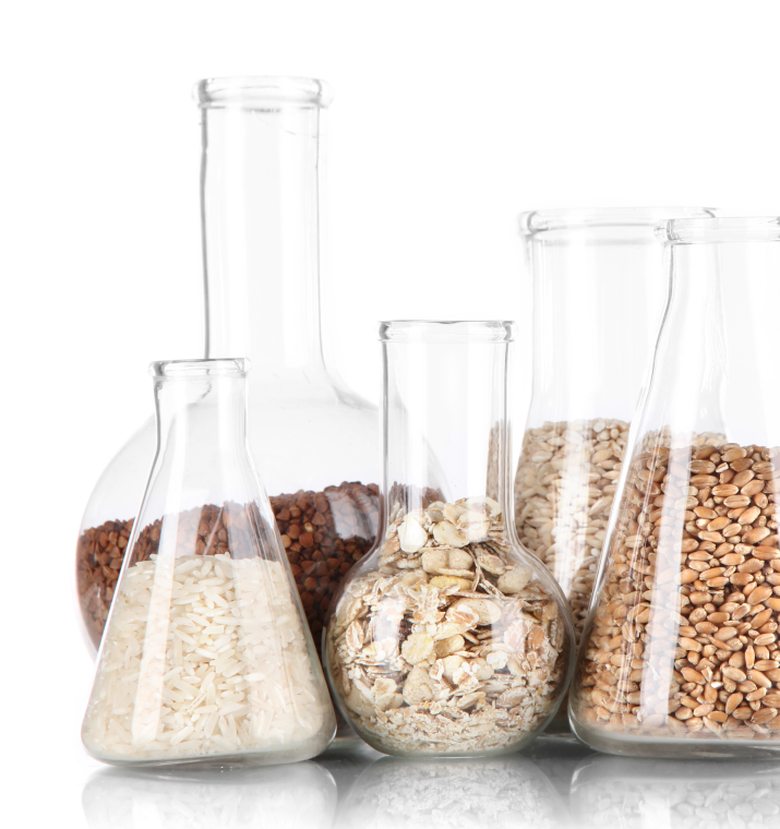 Glass laboratory flasks filled with rice, wheat, oats, and other grains, evoking food products that require laboratory allergen testing to receive a certified gluten free label.